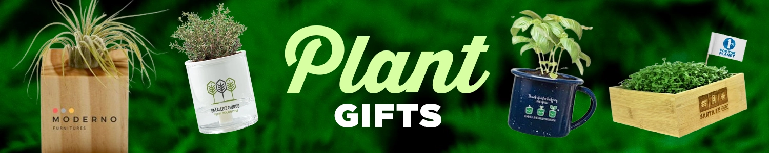 Promotional Planter Kits