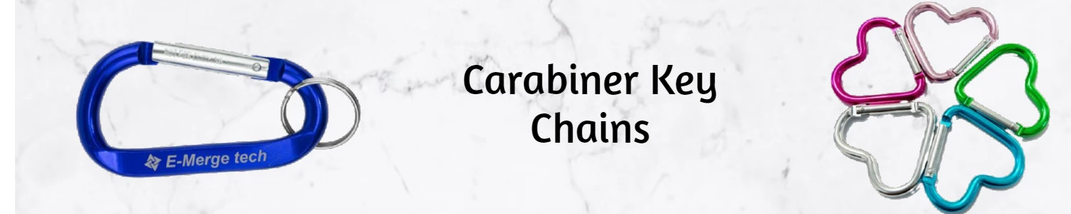 Carabiner Key Chains