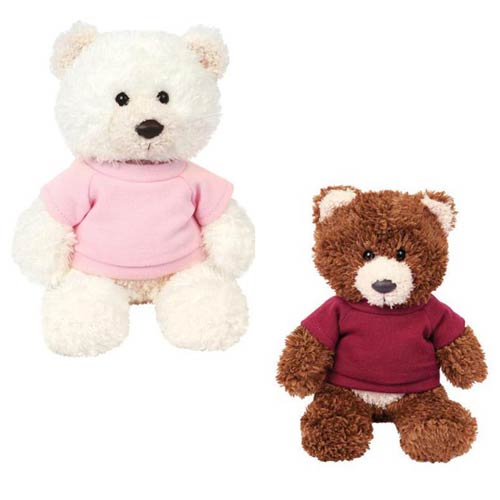 teddy bear promotional items