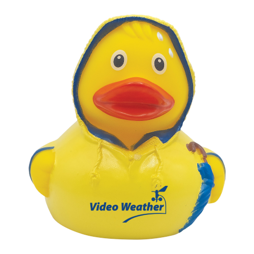 Promotional Bad Weather Duck