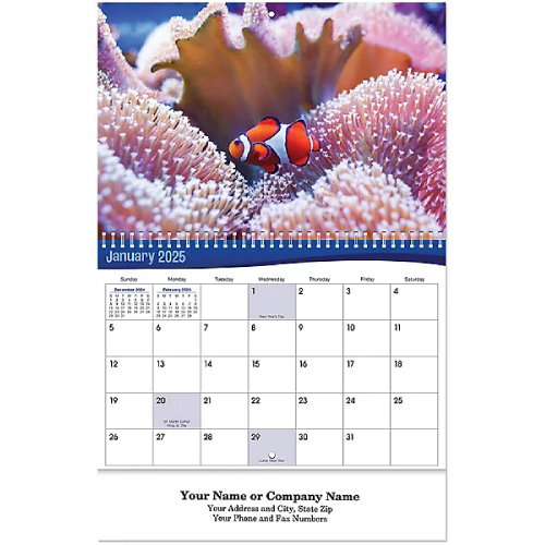Underwater World Custom Wall Calendar(2024)