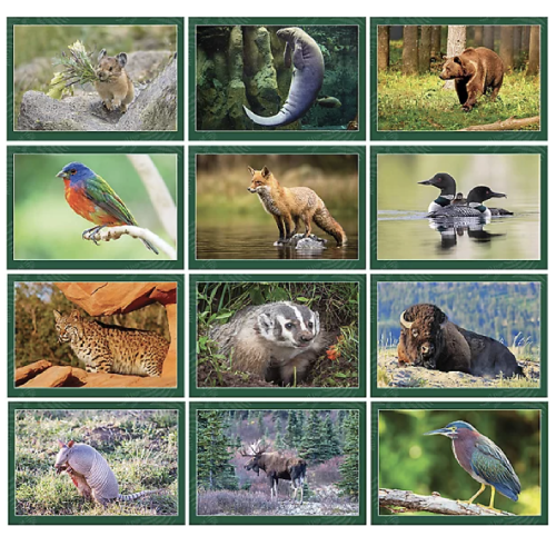 Wildlife Wall Custom Calendar Spiral (2024)